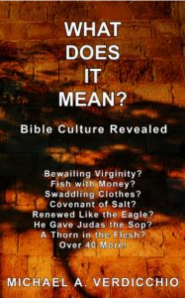 Mike Verdicchio Book "What Does It Mean"